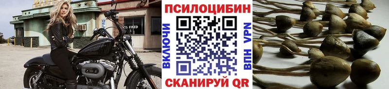 Галлюциногенные грибы мицелий  Купить где  Приозерск 